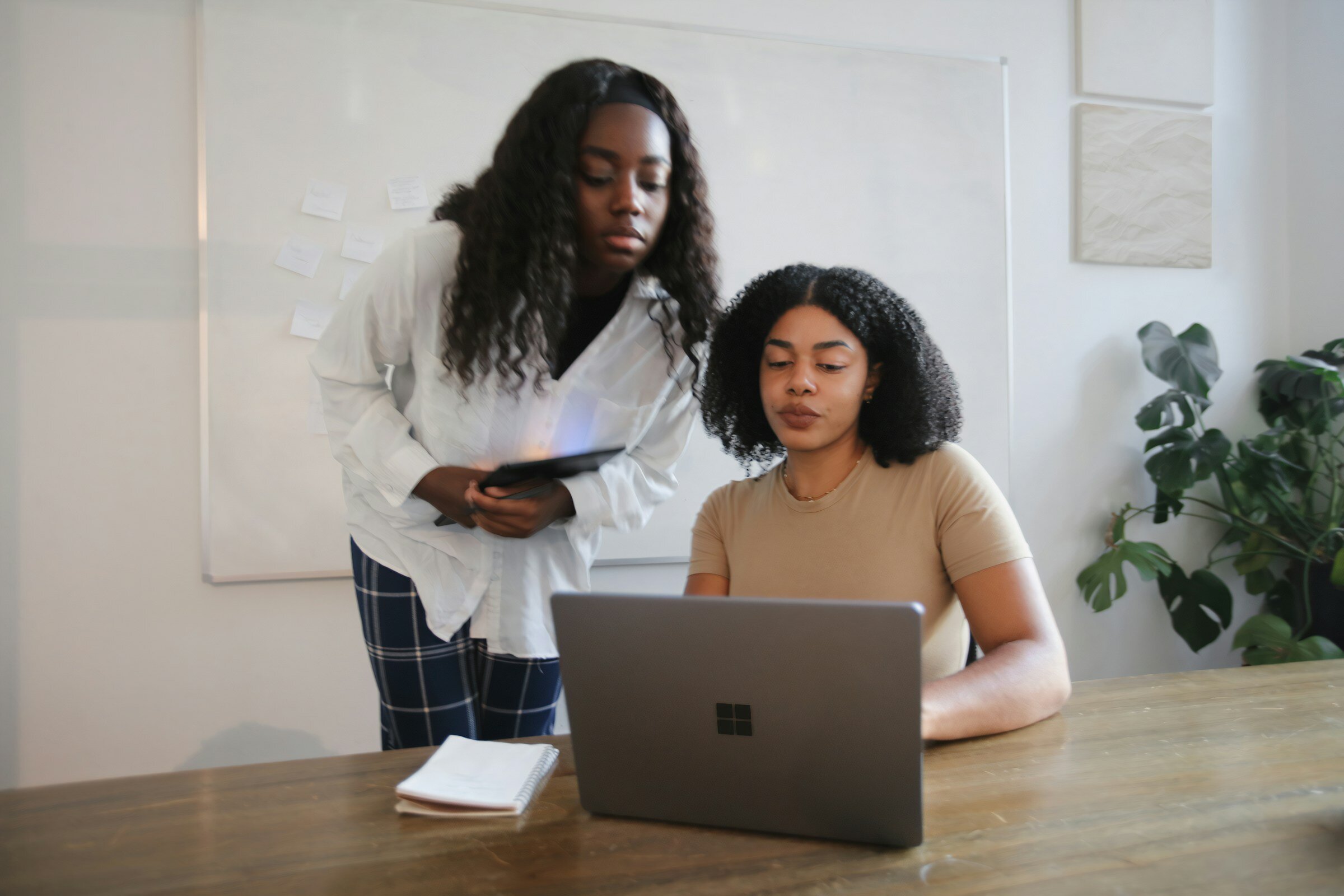 person using Logicmonitor Alternatives