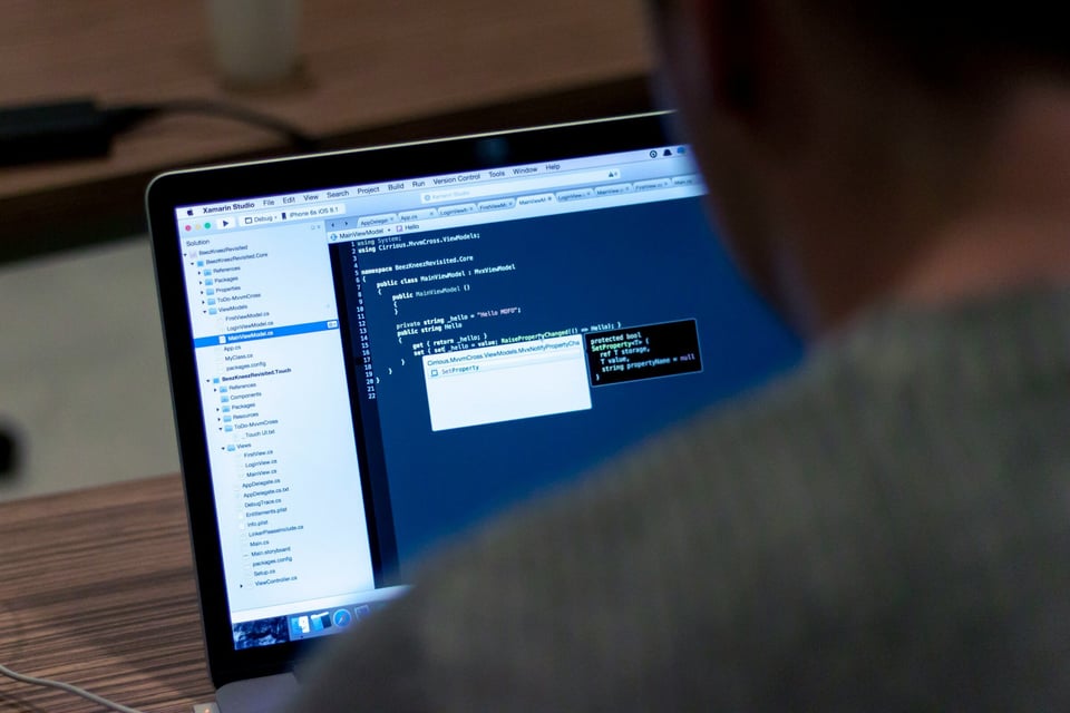 woman concentrating on laptop - Web App Monitoring